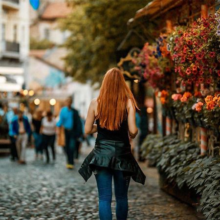 City Center Belgrade Cozy Apartment Skadarlija エクステリア 写真